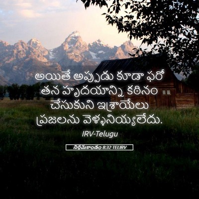 Picture 05 - నిర్గమకాండం 8:32 TELIRV - అయితే అప్పుడు - Bible Verse Picture