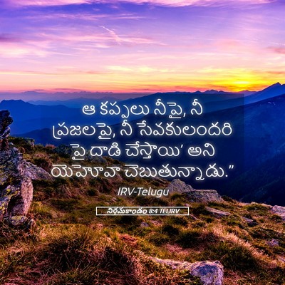Picture 05 - నిర్గమకాండం 8:4 TELIRV - ఆ కప్పలు నీపై, నీ - Bible Verse Picture