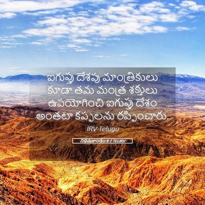 Picture 05 - నిర్గమకాండం 8:7 TELIRV - ఐగుప్తు దేశపు - Bible Verse Picture