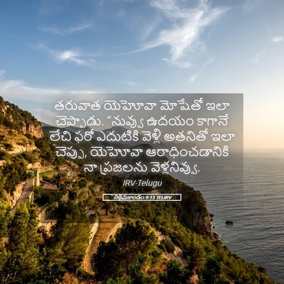 Picture 05 - నిర్గమకాండం 9:13 TELIRV - తరువాత యెహోవా - Bible Verse Picture