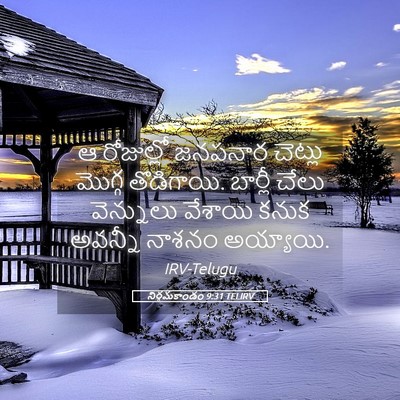 Picture 05 - నిర్గమకాండం 9:31 TELIRV - ఆ రోజుల్లో జనపనార - Bible Verse Picture