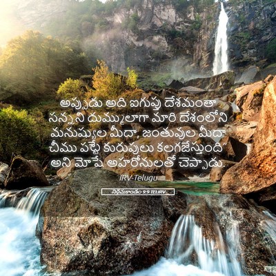 Picture 05 - నిర్గమకాండం 9:9 TELIRV - అప్పుడు అది - Bible Verse Picture