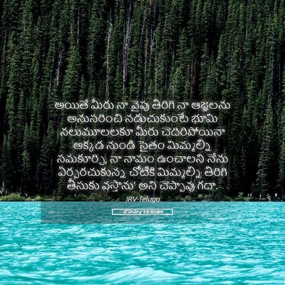 Picture 05 - నెహెమ్యా 1:9 TELIRV - అయితే మీరు నా వైపు - Bible Verse Picture