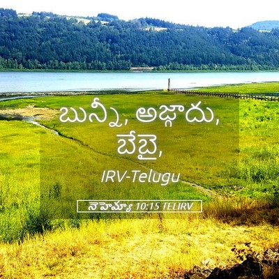 Picture 05 - నెహెమ్యా 10:15 TELIRV - బున్నీ, అజ్గాదు, - Bible Verse Picture