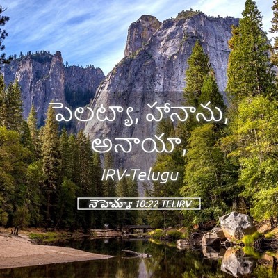 Picture 05 - నెహెమ్యా 10:22 TELIRV - పెలట్యా, హానాను, - Bible Verse Picture