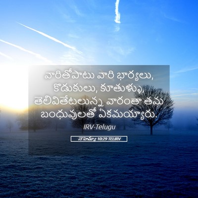 Picture 05 - నెహెమ్యా 10:29 TELIRV - వారితోపాటు వారి - Bible Verse Picture