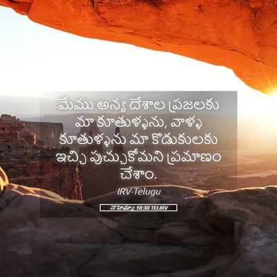 Picture 05 - నెహెమ్యా 10:30 TELIRV - మేము అన్య దేశాల - Bible Verse Picture