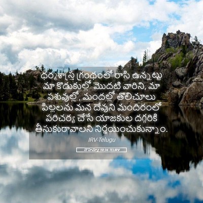 Picture 05 - నెహెమ్యా 10:36 TELIRV - ధర్మశాస్త్ర - Bible Verse Picture