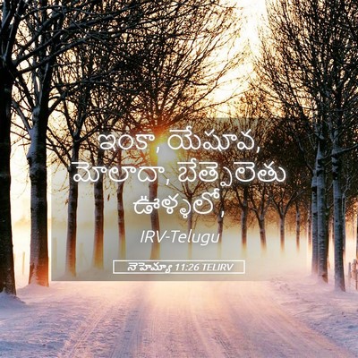 Picture 05 - నెహెమ్యా 11:26 TELIRV - ఇంకా, యేషూవ, - Bible Verse Picture