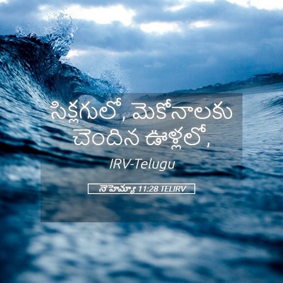Picture 05 - నెహెమ్యా 11:28 TELIRV - సిక్లగులో, - Bible Verse Picture