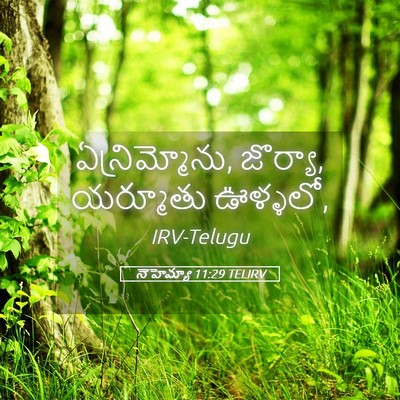 Picture 05 - నెహెమ్యా 11:29 TELIRV - ఏన్రిమ్మోను, - Bible Verse Picture