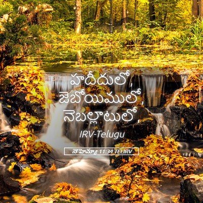 Picture 05 - నెహెమ్యా 11:34 TELIRV - హదీదులో, - Bible Verse Picture