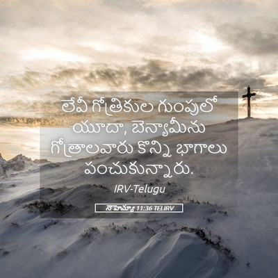 Picture 05 - నెహెమ్యా 11:36 TELIRV - లేవీ గోత్రికుల - Bible Verse Picture