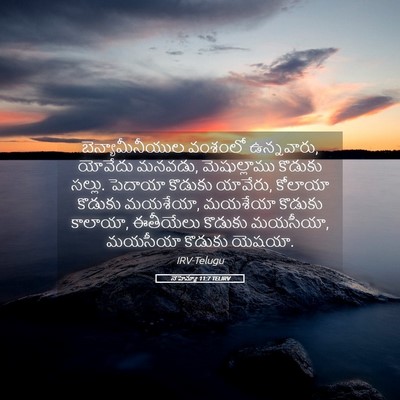 Picture 05 - నెహెమ్యా 11:7 TELIRV - బెన్యామీనీయుల - Bible Verse Picture