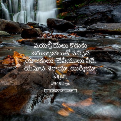 Picture 05 - నెహెమ్యా 12:1 TELIRV - షయల్తీయేలు కొడుకు - Bible Verse Picture