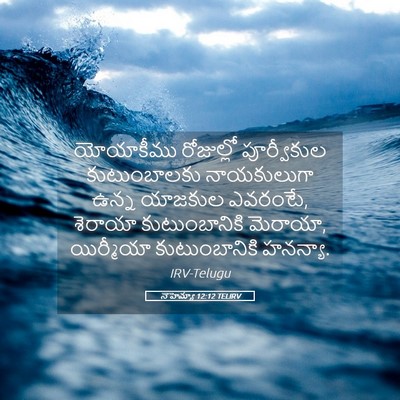 Picture 05 - నెహెమ్యా 12:12 TELIRV - యోయాకీము రోజుల్లో - Bible Verse Picture