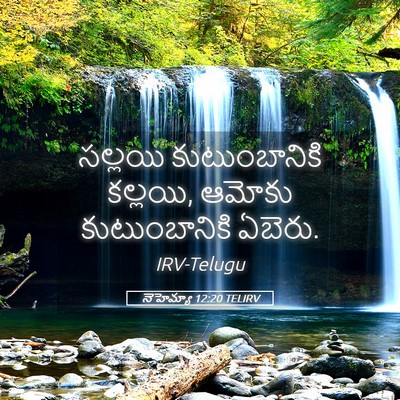 Picture 05 - నెహెమ్యా 12:20 TELIRV - సల్లయి - Bible Verse Picture