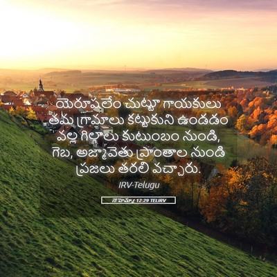 Picture 05 - నెహెమ్యా 12:29 TELIRV - యెరూషలేం చుట్టూ - Bible Verse Picture