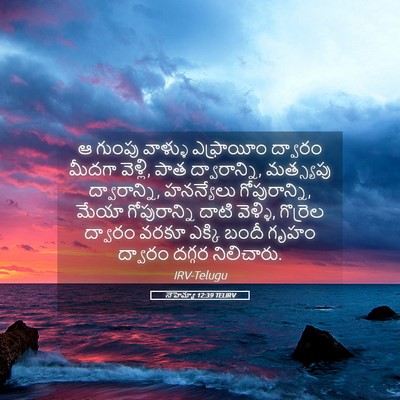 Picture 05 - నెహెమ్యా 12:39 TELIRV - ఆ గుంపు వాళ్ళు - Bible Verse Picture