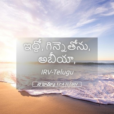 Picture 05 - నెహెమ్యా 12:4 TELIRV - ఇద్దో, గిన్నెతోను, - Bible Verse Picture