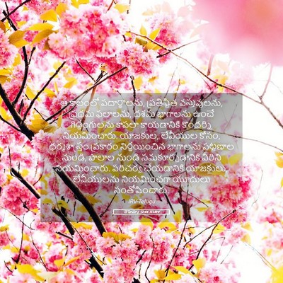 Picture 05 - నెహెమ్యా 12:44 TELIRV - ఆ కాలంలో - Bible Verse Picture