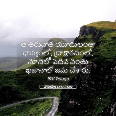 Picture 05 - నెహెమ్యా 13:12 TELIRV - ఆ తరువాత యూదులంతా - Bible Verse Picture