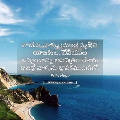 Picture 05 - నెహెమ్యా 13:29 TELIRV - నా దేవా, వాళ్ళు - Bible Verse Picture