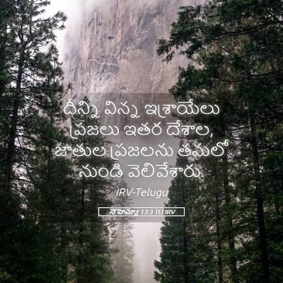 Picture 05 - నెహెమ్యా 13:3 TELIRV - దీన్ని విన్న - Bible Verse Picture