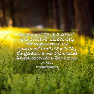 Picture 05 - నెహెమ్యా 13:6 TELIRV - ఆ సమయంలో నేను - Bible Verse Picture