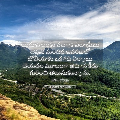 Picture 05 - నెహెమ్యా 13:7 TELIRV - యెరూషలేంకు వచ్చాక - Bible Verse Picture