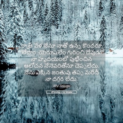 Picture 05 - నెహెమ్యా 2:12 TELIRV - రాత్రి వేళ నేనూ - Bible Verse Picture