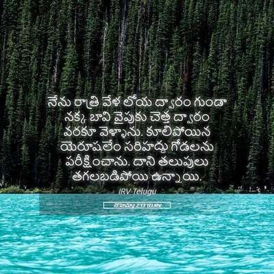 Picture 05 - నెహెమ్యా 2:13 TELIRV - నేను రాత్రి వేళ - Bible Verse Picture