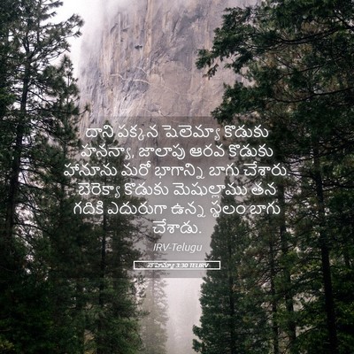 Picture 05 - నెహెమ్యా 3:30 TELIRV - దాని పక్కన - Bible Verse Picture