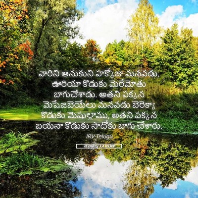 Picture 05 - నెహెమ్యా 3:4 TELIRV - వారిని ఆనుకుని - Bible Verse Picture