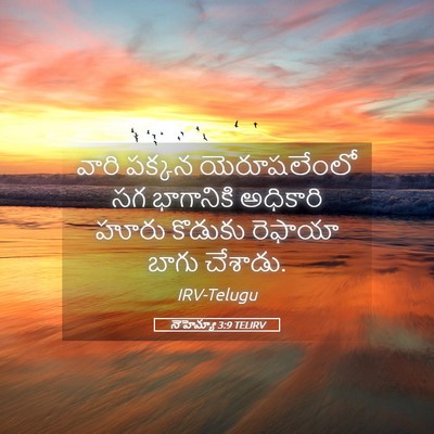 Picture 05 - నెహెమ్యా 3:9 TELIRV - వారి పక్కన - Bible Verse Picture