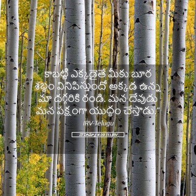 Picture 05 - నెహెమ్యా 4:20 TELIRV - కాబట్టి ఎక్కడైతే - Bible Verse Picture