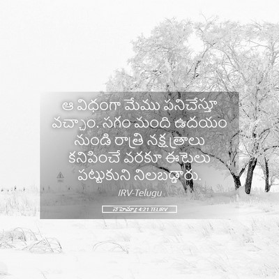 Picture 05 - నెహెమ్యా 4:21 TELIRV - ఆ విధంగా మేము - Bible Verse Picture