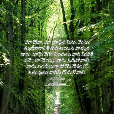 Picture 05 - నెహెమ్యా 4:4 TELIRV - “మా దేవా, మా - Bible Verse Picture
