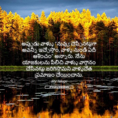 Picture 05 - నెహెమ్యా 5:12 TELIRV - అప్పుడు వాళ్ళు - Bible Verse Picture