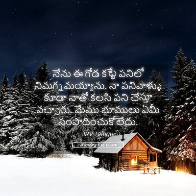 Picture 05 - నెహెమ్యా 5:16 TELIRV - నేను ఈ గోడ కట్టే - Bible Verse Picture