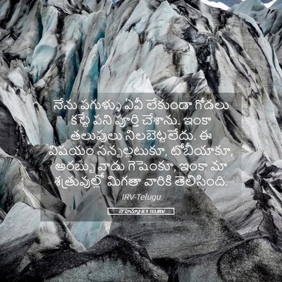 Picture 05 - నెహెమ్యా 6:1 TELIRV - నేను పగుళ్ళు ఏవీ - Bible Verse Picture