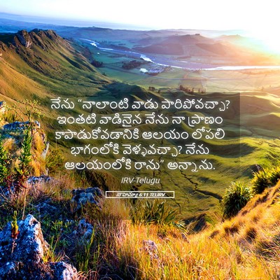 Picture 05 - నెహెమ్యా 6:11 TELIRV - నేను “నాలాంటి - Bible Verse Picture