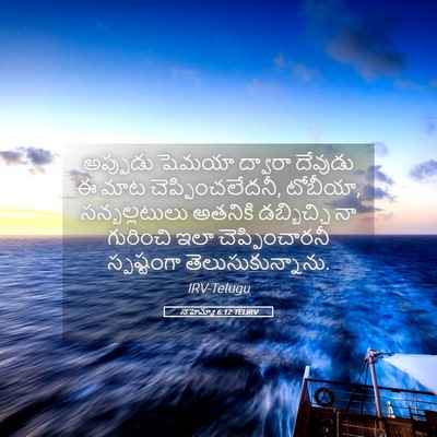 Picture 05 - నెహెమ్యా 6:12 TELIRV - అప్పుడు షెమయా - Bible Verse Picture