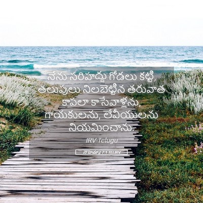 Picture 05 - నెహెమ్యా 7:1 TELIRV - నేను సరిహద్దు - Bible Verse Picture