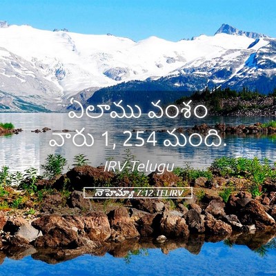 Picture 05 - నెహెమ్యా 7:12 TELIRV - ఏలాము వంశం వారు 1, 254 - Bible Verse Picture
