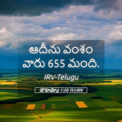 Picture 05 - నెహెమ్యా 7:20 TELIRV - ఆదీను వంశం వారు 655 - Bible Verse Picture
