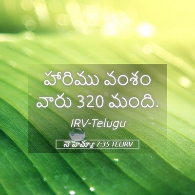 Picture 05 - నెహెమ్యా 7:35 TELIRV - హారిము వంశం వారు 320 - Bible Verse Picture