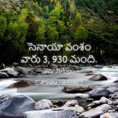 Picture 05 - నెహెమ్యా 7:38 TELIRV - సెనాయా వంశం వారు 3, - Bible Verse Picture