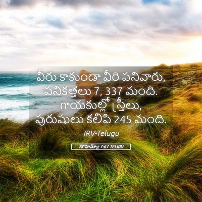 Picture 05 - నెహెమ్యా 7:67 TELIRV - వీరు కాకుండా వీరి - Bible Verse Picture
