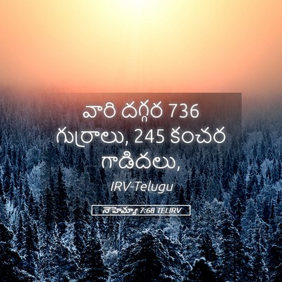 Picture 05 - నెహెమ్యా 7:68 TELIRV - వారి దగ్గర 736 - Bible Verse Picture